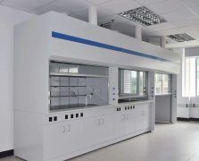 湖南淺談實驗室通風柜的性能與要求