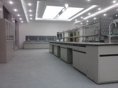 湖南化學實驗室廢液處理原理