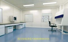 河北醫學BSLＧ２實驗室檢測和驗收要求